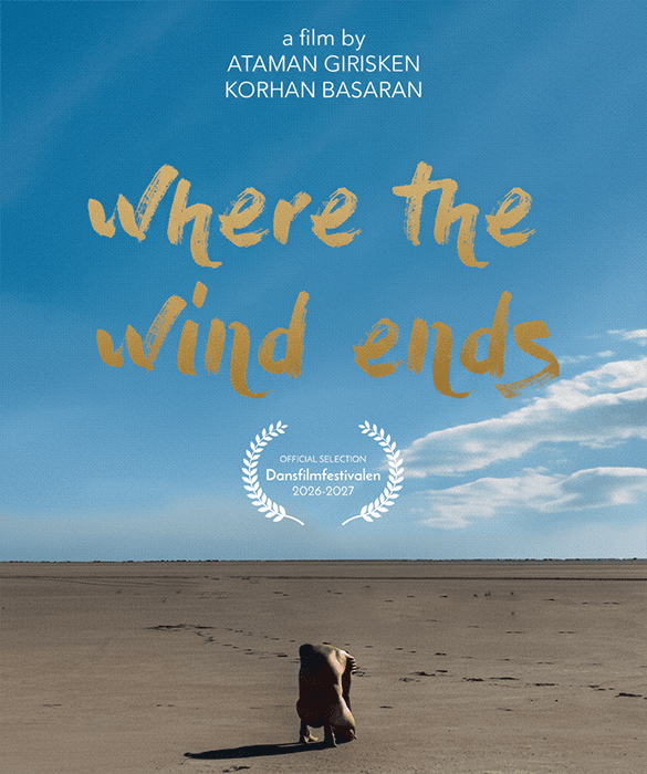 Where the Wind Ends cover image